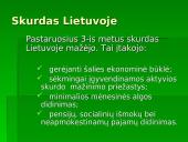 Skurdas ir pajamų nelygybė Lietuvoje 6 puslapis