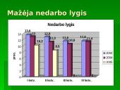 Skurdas ir pajamų nelygybė Lietuvoje 8 puslapis