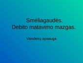 Smėliagaudės. Debito matavimo mazgas