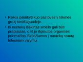 Smėliagaudės. Debito matavimo mazgas 7 puslapis