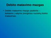 Smėliagaudės. Debito matavimo mazgas 8 puslapis