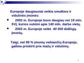 Smulkios ir vidutinės įmonės Europoje: dydis, struktūra, veiklų rūšys 2 puslapis