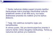 Smulkios ir vidutinės įmonės Europoje: dydis, struktūra, veiklų rūšys 11 puslapis