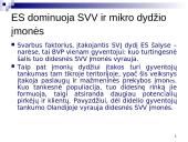 Smulkios ir vidutinės įmonės Europoje: dydis, struktūra, veiklų rūšys 13 puslapis
