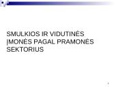 Smulkios ir vidutinės įmonės Europoje: dydis, struktūra, veiklų rūšys 14 puslapis