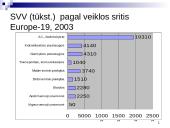 Smulkios ir vidutinės įmonės Europoje: dydis, struktūra, veiklų rūšys 16 puslapis