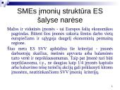 Smulkios ir vidutinės įmonės Europoje: dydis, struktūra, veiklų rūšys 4 puslapis
