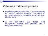 Smulkios ir vidutinės įmonės Europoje: dydis, struktūra, veiklų rūšys 6 puslapis
