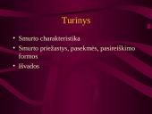 Smurtas prieš vaikus, moteris ir suaugusius 2 puslapis