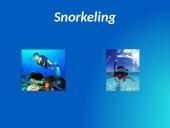 Snorkeling 1 puslapis