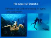 Snorkeling 2 puslapis