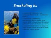 Snorkeling 3 puslapis