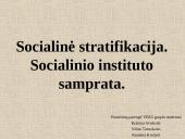Socialinė stratifikacija. Socialinio instituto samprata