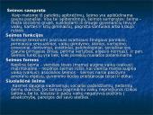 Socialinio pedagogo darbas su socialiai pažeistomis šeimomis 4 puslapis