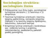 Sociologijos samprata 12 puslapis