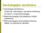 Sociologijos samprata 13 puslapis