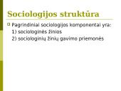Sociologijos samprata 8 puslapis