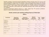 Statybos rinka Baltarusijoje 4 puslapis