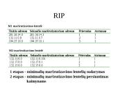 Statinis ir dinaminis maršrutizavimas. Dinaminio maršrutizavimo protokolas RIP 8 puslapis