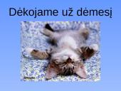 Statistikos tyrimas: VV05 grupės pažangumo lyginamoji analizė 19 puslapis