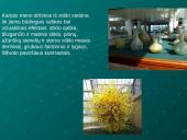 Stiklas, stiklo gaminiai ir apdirbimo technologijos bei naudojimas šiuolaikiniame mene 14 puslapis