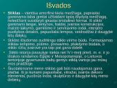 Stiklas, stiklo gaminiai ir apdirbimo technologijos bei naudojimas šiuolaikiniame mene 18 puslapis