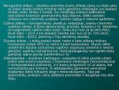 Stiklas, stiklo gaminiai ir apdirbimo technologijos bei naudojimas šiuolaikiniame mene 9 puslapis