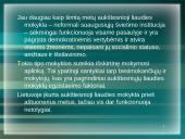Straipsnio analizė: "Suaugusiųjų mokytojo išskirtinumas ir vaidmuo aukštesniųjų liaudies mokyklų veikloje" 2 puslapis