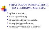 Strategijos įgyvendinimas ir kontrolė 3 puslapis