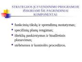 Strategijos įgyvendinimas ir kontrolė 5 puslapis