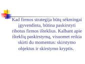 Strategijos įgyvendinimas ir kontrolė 6 puslapis