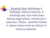 Strategijos įgyvendinimas ir kontrolė 7 puslapis