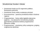 Struktūrinė parama, veiksmų programa Ekonomikos augimas 14 puslapis