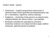 Struktūrinė parama, veiksmų programa Ekonomikos augimas 15 puslapis