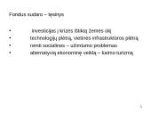 Struktūrinė parama, veiksmų programa Ekonomikos augimas 17 puslapis