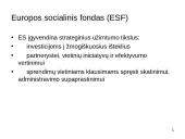 Struktūrinė parama, veiksmų programa Ekonomikos augimas 18 puslapis