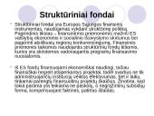 Struktūriniai fondai, jų panaudojimo galimybės 2 puslapis