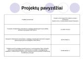 Struktūriniai fondai, jų panaudojimo galimybės 13 puslapis