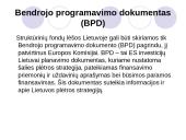 Struktūriniai fondai, jų panaudojimo galimybės 3 puslapis