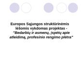 Struktūriniai fondai, jų panaudojimo galimybės 8 puslapis