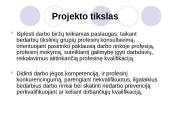 Struktūriniai fondai, jų panaudojimo galimybės 10 puslapis