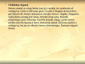 Stuburinių gyvūnų kilmė, atsiradimas, bei vystymasis 16 puslapis