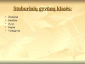 Stuburinių gyvūnų kilmė, atsiradimas, bei vystymasis 4 puslapis