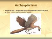 Stuburinių gyvūnų kilmė, atsiradimas, bei vystymasis 10 puslapis