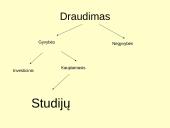 Studijų draudimas 2 puslapis