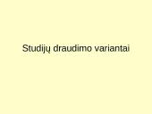 Studijų draudimas 13 puslapis