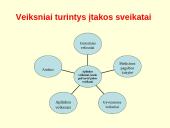 Sunkieji metalai aplinkoje 13 puslapis