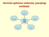 Sunkieji metalai aplinkoje 14 puslapis