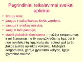 Sunkieji metalai aplinkoje 3 puslapis