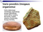 Sunkiųjų metalų poveikis  žmogaus organizmui 11 puslapis